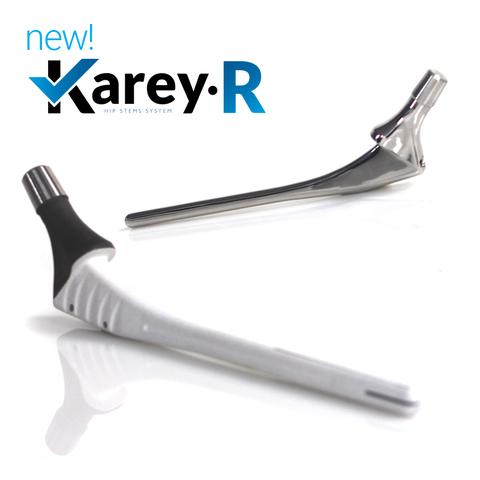 أنظمة مفصل الورك KAREY & QUARTER