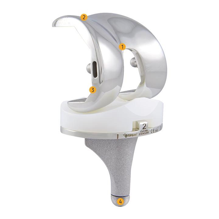2- Knee Systems