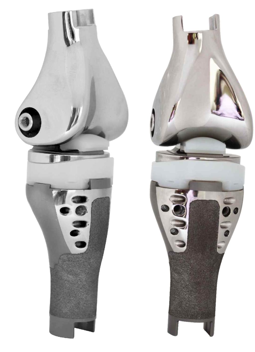 3- Tumor Prosthesis Systems